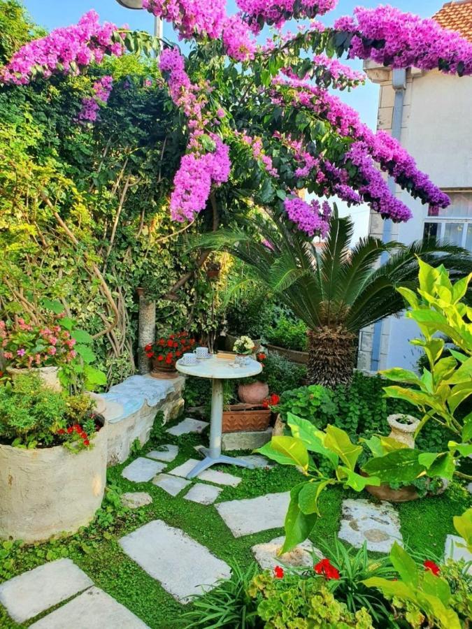 Rooms Garden - With A View Dubrovnik Eksteriør bilde